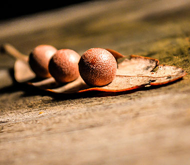 数据加密安全的超强短信测压